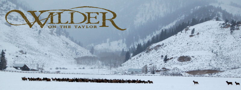 wintertime at wilder on the taylor