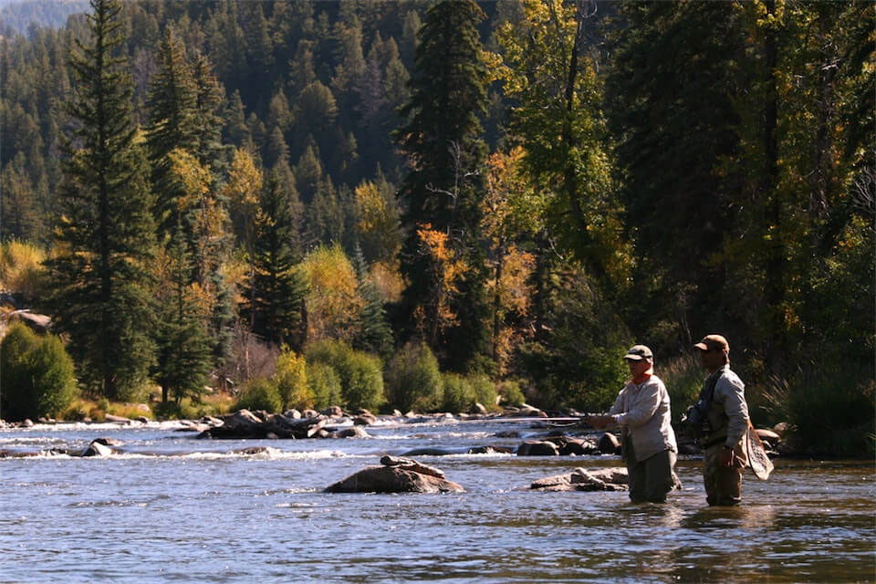 Wilder on the Taylor Fly Fishing Report: September 2018