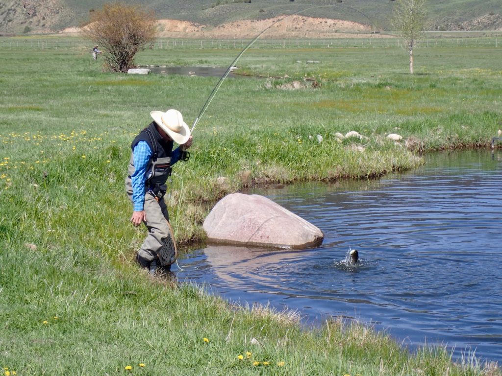 Fly Fishing Report June 2019 on Wilder Ponds