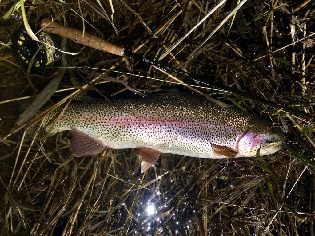 Fly Fishing Report June 2019 Feature