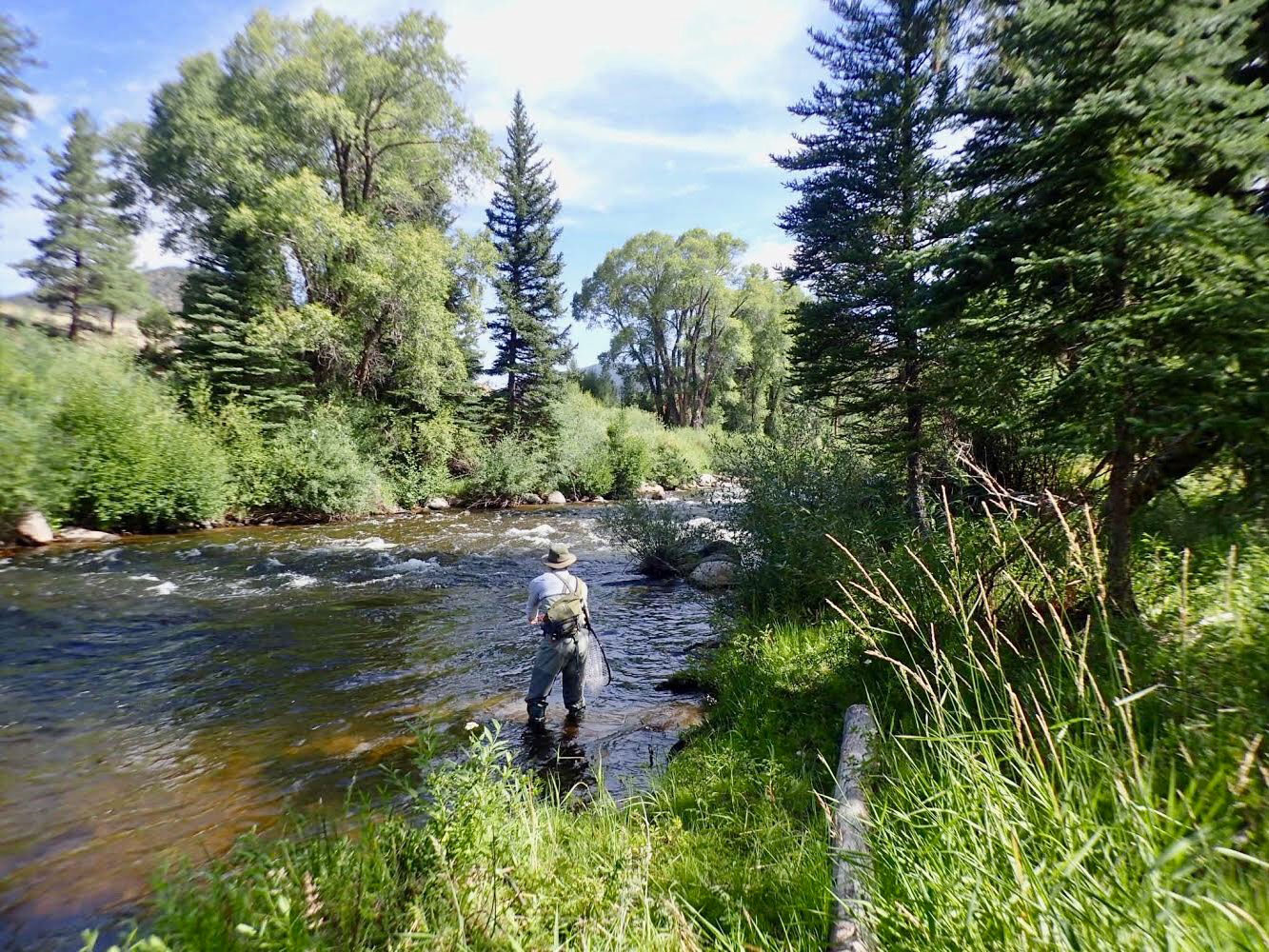 Taylor River Fishing Report August 2019