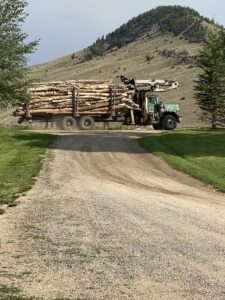 Forestry Conservation Project Logging Truck