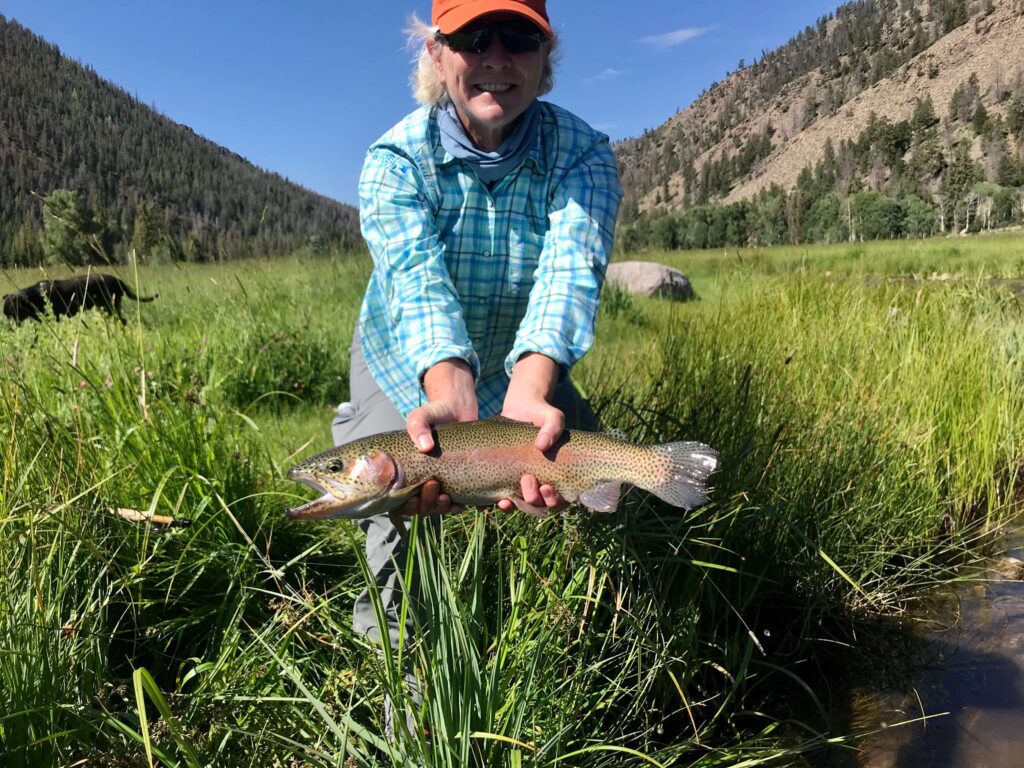 Fishing Report: Early August 2020