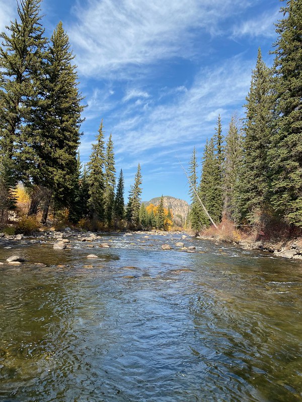 Taylor River Fishing Report: September 2021