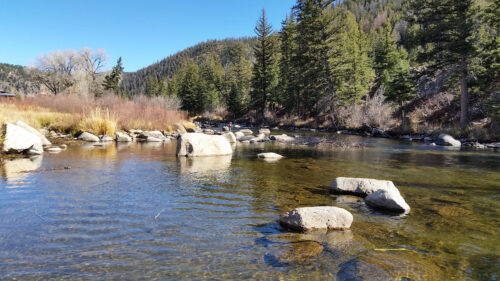 Taylor River Fishing Report October 2021