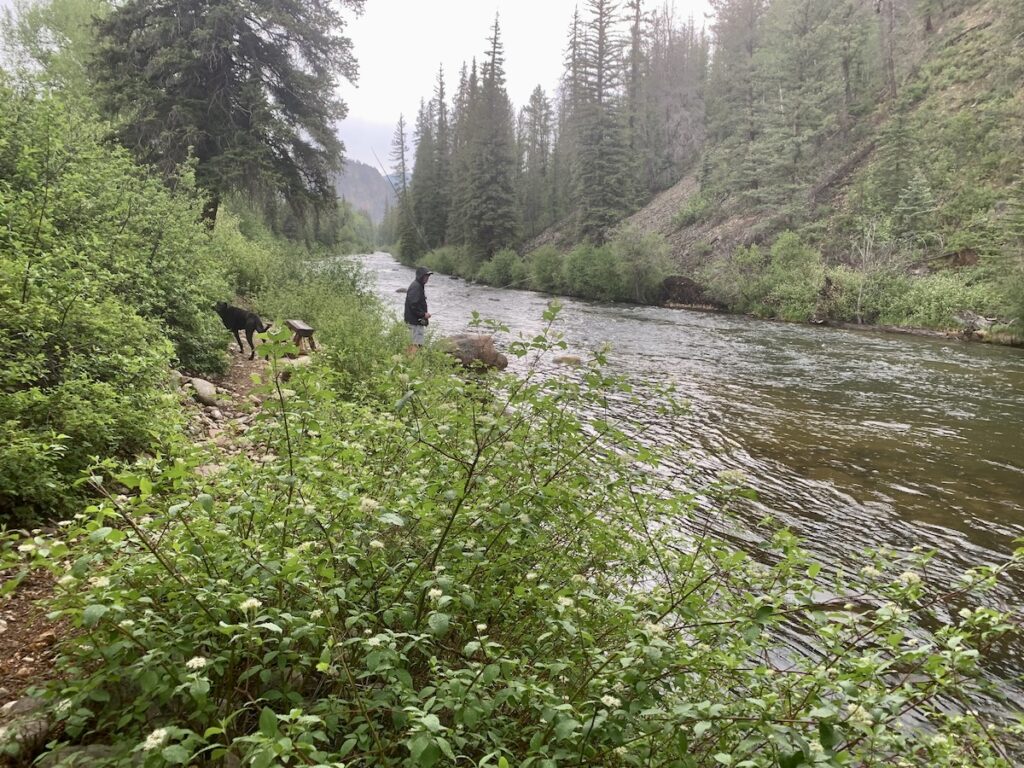 Taylor River Fishing Report June2022