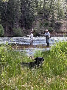 Taylor River Fishing Report August 2023