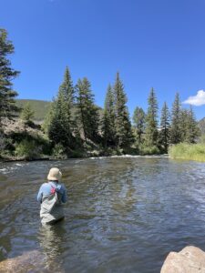 Taylor River Fishing Report July 2023