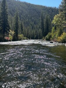 Taylor River Fall Fishing 